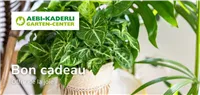 Bons d'achat français