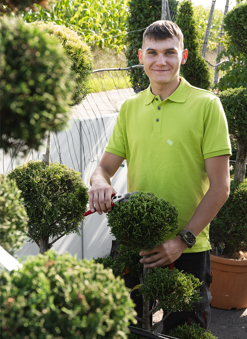 Dawid Cieslak Dawid Cieslak