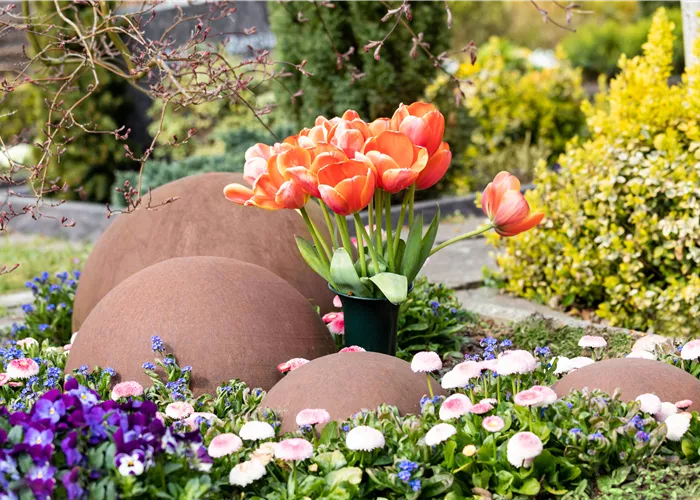 Grabbepflanzung mit den schönsten Frühlingsblühern