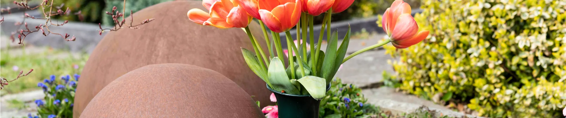 Grabgestaltung - Tulpen 
