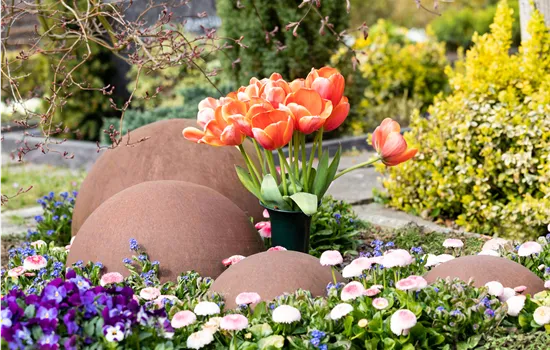 Plantation de tombes avec les plus belles fleurs de printemps