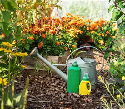 De belles plantes saines, grâce à une fertilisation appropriée De belles plantes saines, grâce à une fertilisation appropriée