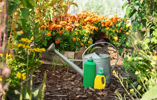 De belles plantes saines, grâce à une fertilisation appropriée De belles plantes saines, grâce à une fertilisation appropriée