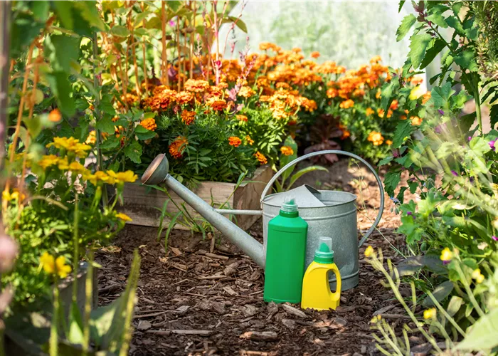 Schöne, gesunde Pflanzen mit der richtigen Düngung