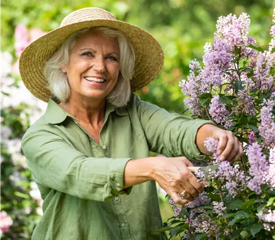 Schnittkurs: Gartenpflanzen Schnittkurs: Gartenpflanzen