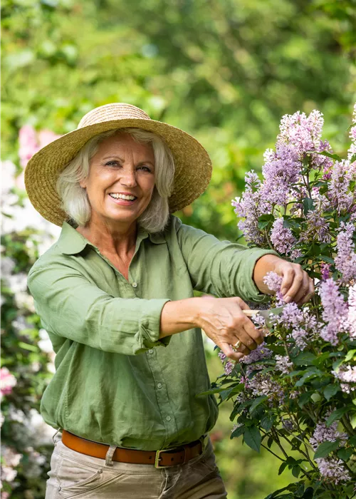 Schittkurs: Gartenpflanzen Schittkurs: Gartenpflanzen