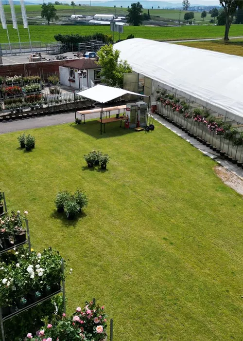 Dimanche ouvert "fête du printemps"