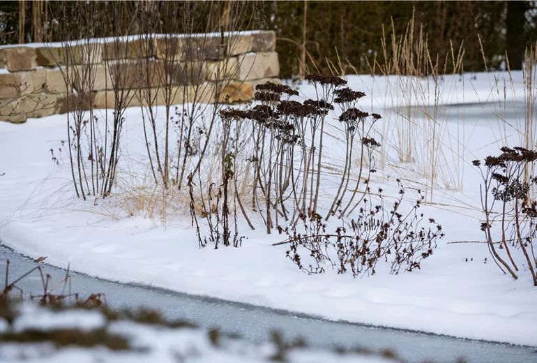 Winter - Gartenansicht im Schnee