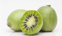 Kiwi 'Issai'